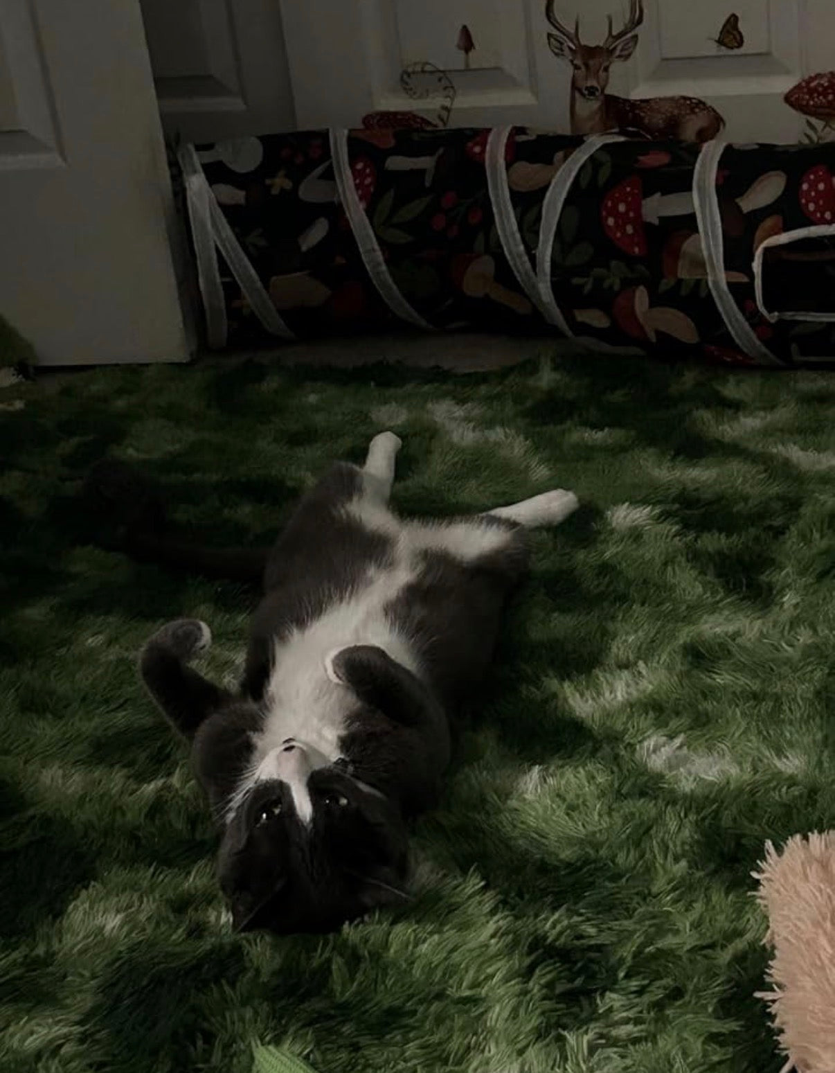 FLUFFY RUG