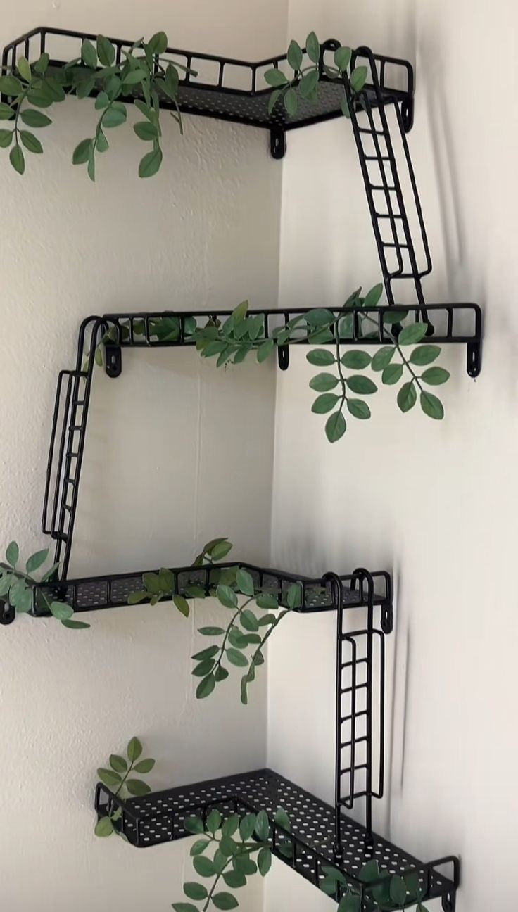 FIRE ESCAPE SHELVES